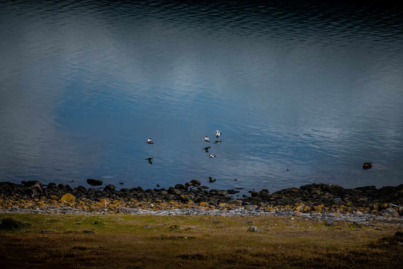 Estancia Bahía Esperanza