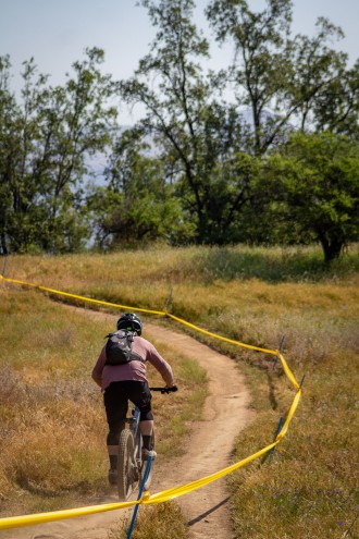 Rey de La Buitrera Capitaria