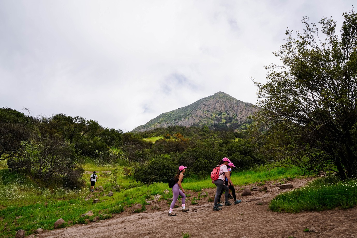 Nuevo acceso RKF Manquehue