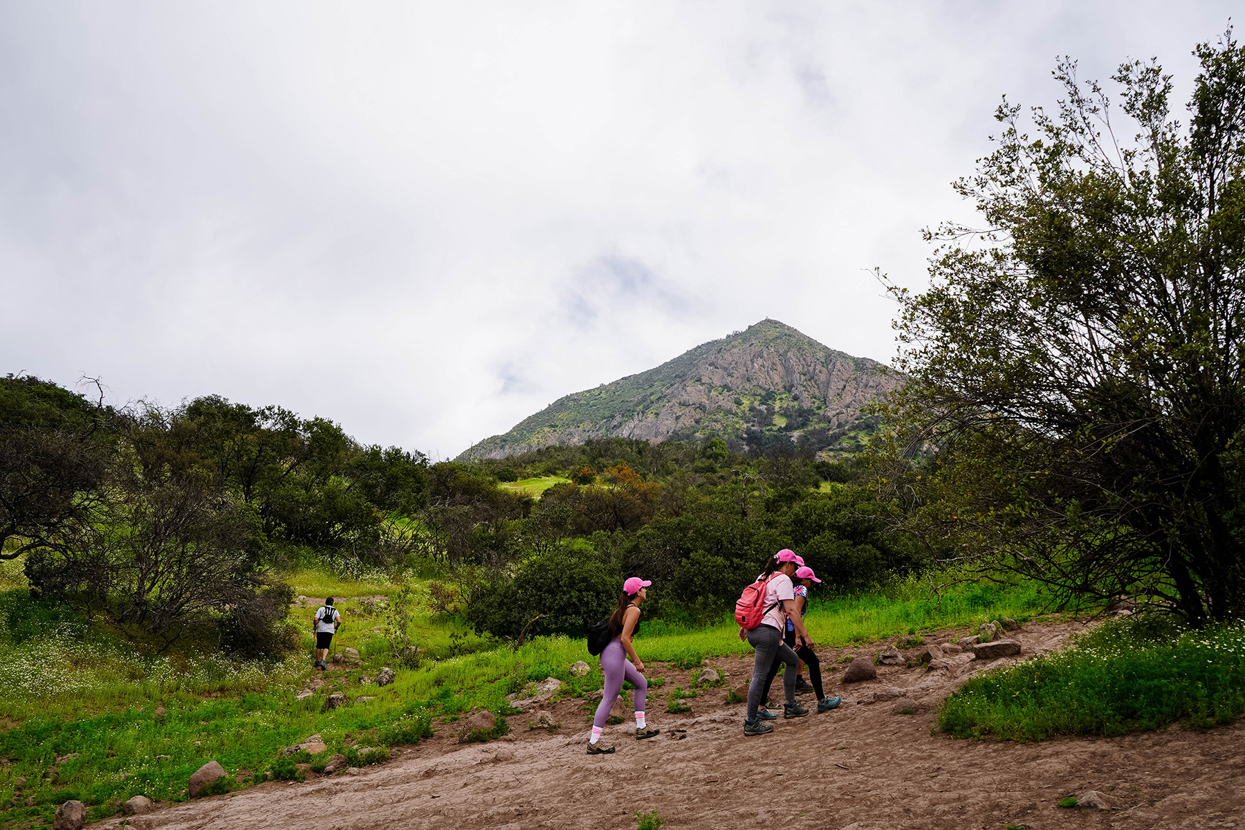 Nuevo acceso RKF Manquehue