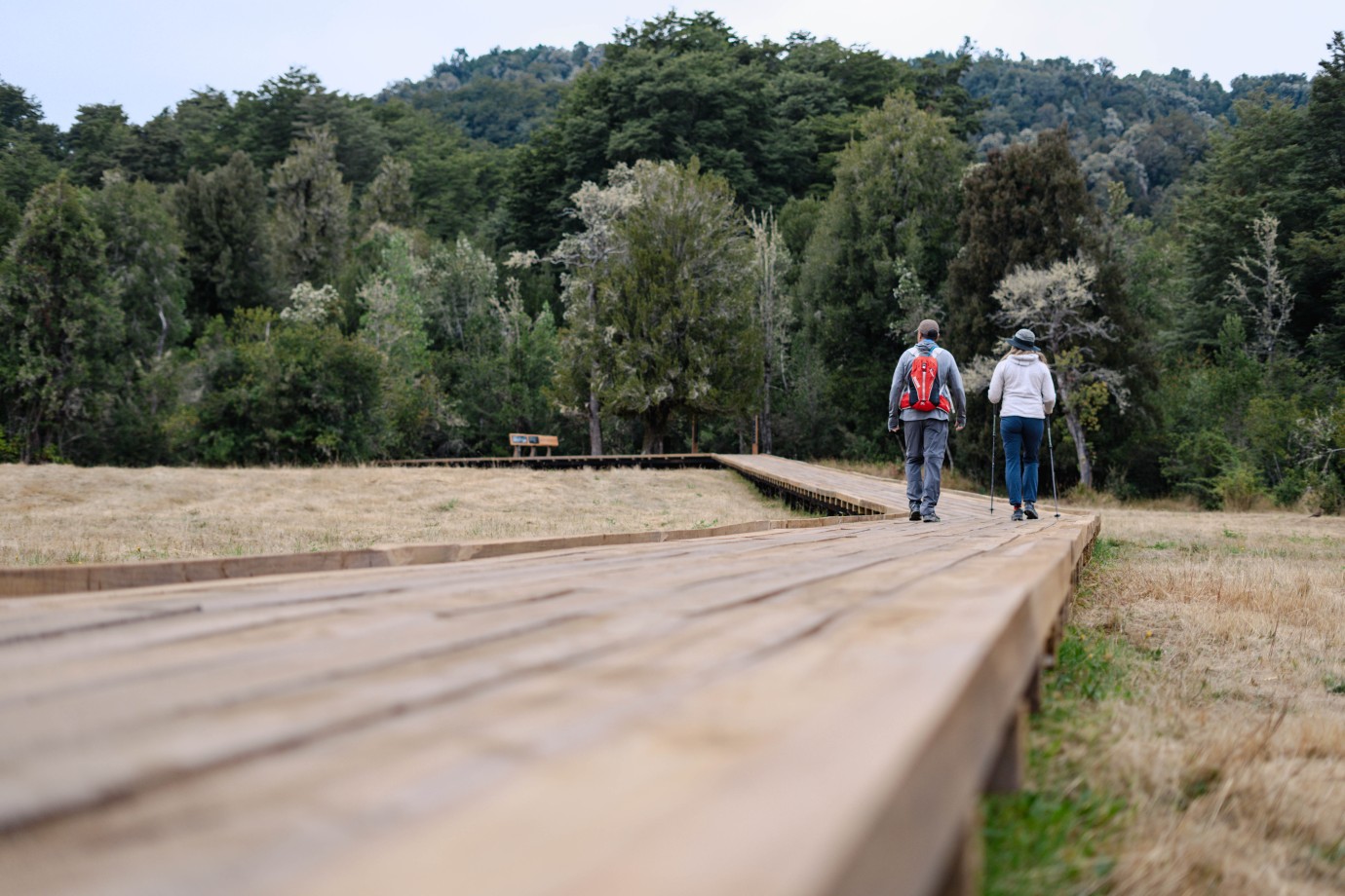 Parque Pirinel